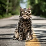 R.I.P. Leo The Cat, a.k.a. Pet Sematary's Church