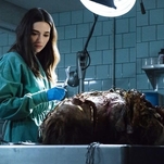 Congratulations, Swamp Thing, on having some of the grossest body horror ever put on TV