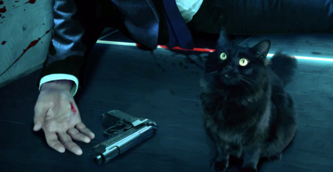 This YouTuber is doing an a-meow-zing job of editing their cat into famous movies