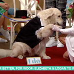 A woman married her dog on live TV, but it's fun and not creepy, we think?