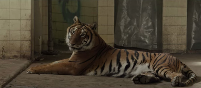 Stephen King, Neil Gaiman, and Guillermo del Toro all think you should see Tigers Are Not Afraid