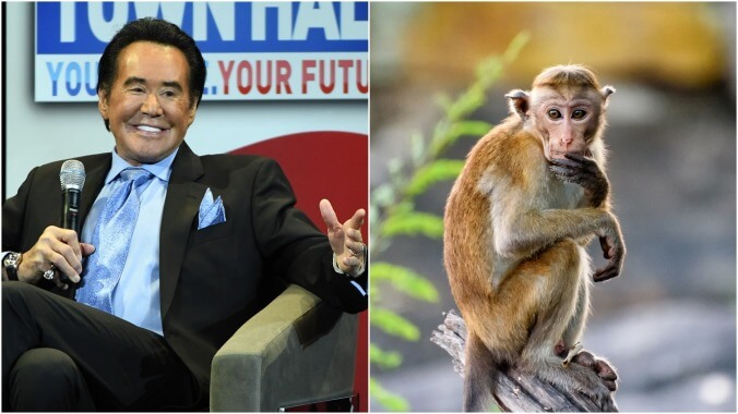 Wayne Newton gets sued over an alleged pet monkey attack