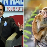 Wayne Newton gets sued over an alleged pet monkey attack