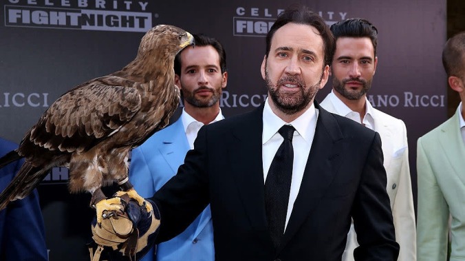 To understand Nicolas Cage's acting style, look at John Stamos commercials, eagles, and king cobras