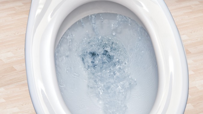 Prepare yourself for one of the longest, most unnecessarily aggressive toilet flushes of all time