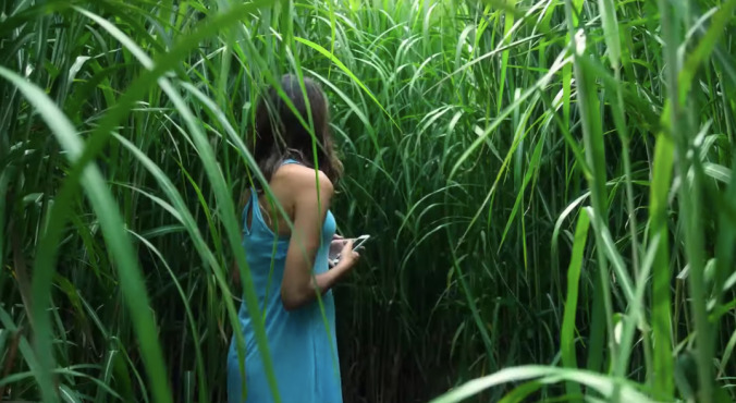 In The Tall Grass trailer promises a properly spooky Stephen King and Joe Hill adaptation