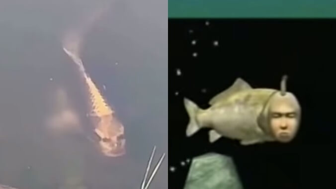 This nightmare fish with a human face is reminding people of Dreamcast's Seaman