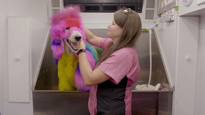 Why yes, we will watch the competitive dog grooming documentary, thank you very much