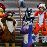 Furries make citizen's arrest of domestic abuser