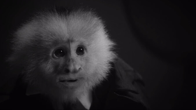 Netflix just dropped a David Lynch short starring a talking monkey named Jack