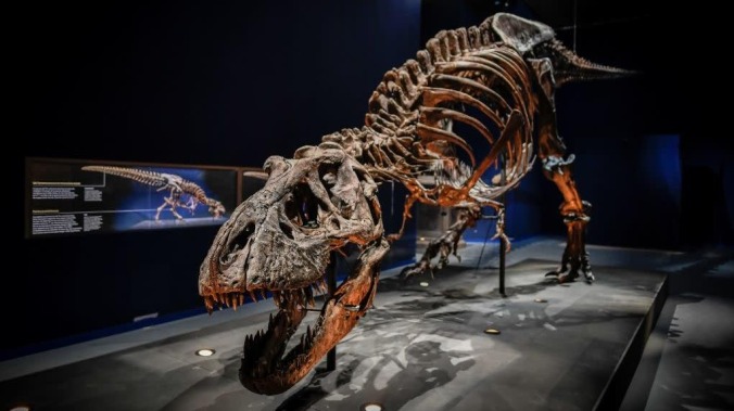 Extremely metal scientists name new species of tyrannosaur the "reaper of death"