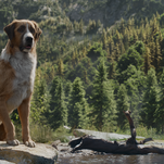 Weekend Box Office: Even Call Of The Wild's computer-generated hound can't catch Sonic