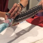 This beach towel getting pulled out of a snake is the worst magic trick we've ever seen