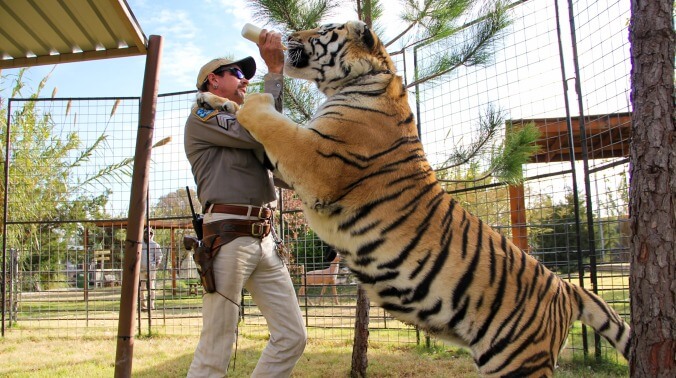 Tiger King inspires Florida sheriff to seek new leads in case of Carole Baskin's missing husband