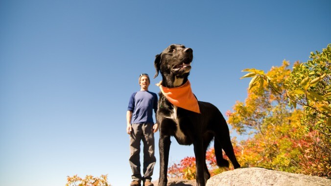 This video of a hike from the dog’s perspective is so charming it almost makes hiking look fun