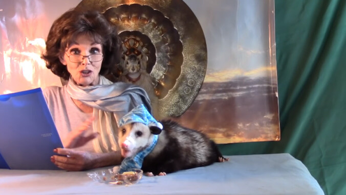 Revisiting YouTube's possum lady, who'd like to help you determine your possum's political beliefs