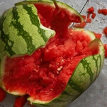 Finally, an answer to the age old question: How many elastic bands does it take to explode a watermelon?