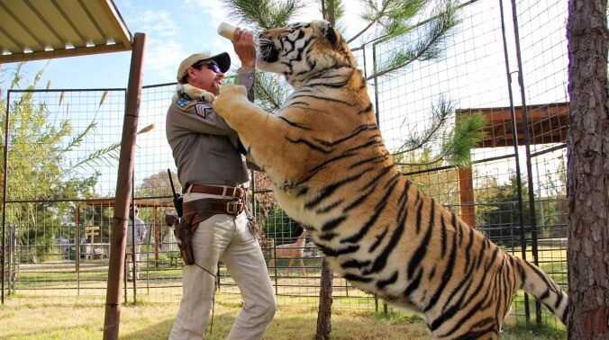 Netflix announces Tiger King after-show, hosted by Joel McHale