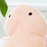 Great news! You can now buy a dick pillow called the "PeePeePlush"