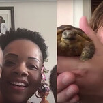 Jack Black and Jimmy Kimmel bring cheer, cash, a tortoise to a hardworking nurse and her family