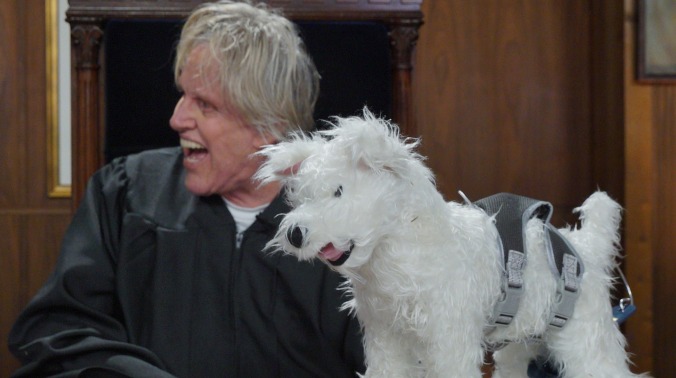 Honorable Judge Gary Busey to preside over pet-related "court" cases in Pet Judge