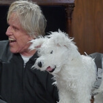 Honorable Judge Gary Busey to preside over pet-related "court" cases in Pet Judge