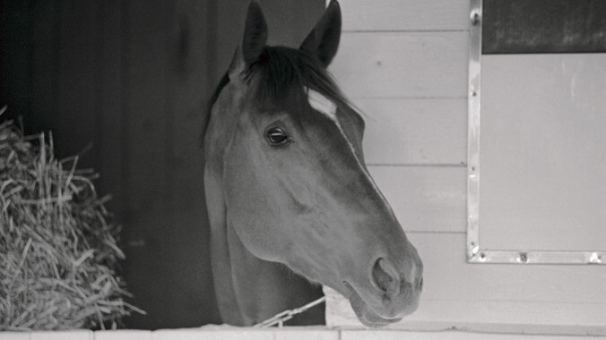 NBC forces America's greatest ghost horses to battle it out for the amusement of Kentucky Derby fans