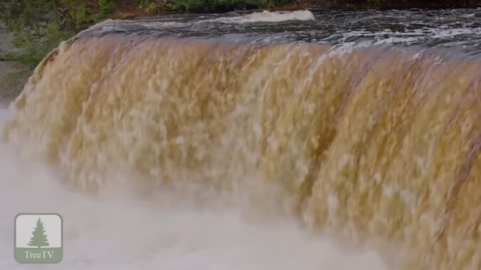 Joe Pera released a special that's just him talking over footage of fish and trees, and it's perfect