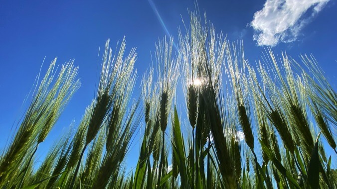 Actors and producers risk safety, defy shutdown to complete all-important Children Of The Corn reboot