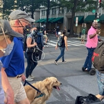 Elizabeth Warren, Spider-Man, and a nice duck joined last night's protests