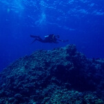 Experience the nightmare of scuba-diving near an unseen destroyer ship’s sonar echoes