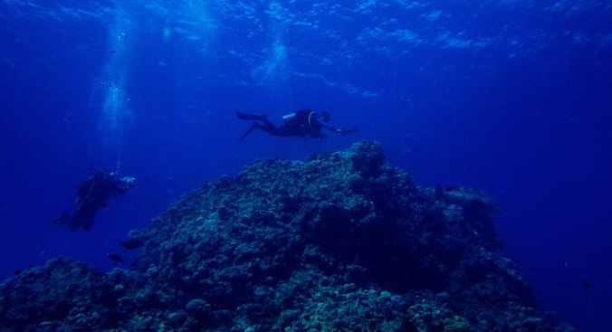 Experience the nightmare of scuba-diving near an unseen destroyer ship’s sonar echoes