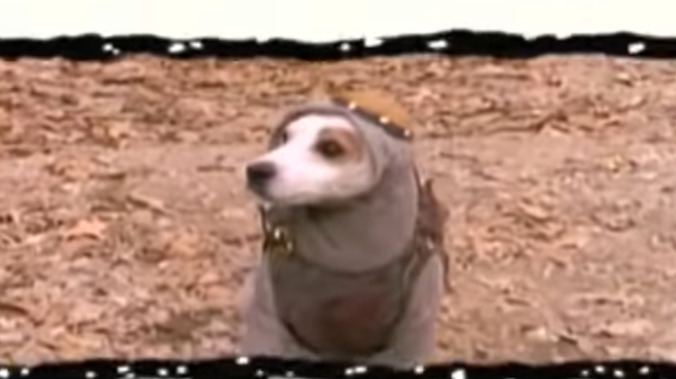 Wishbone is getting his own movie, finally