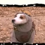 Wishbone is getting his own movie, finally