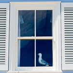 A contractor has made it his mission to brutally mock peoples' bad window shutter placement