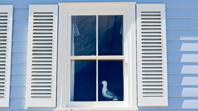 A contractor has made it his mission to brutally mock peoples' bad window shutter placement