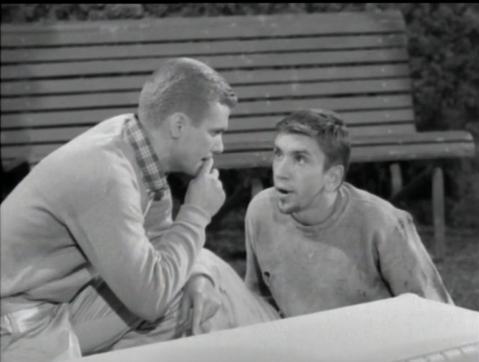 The Many Loves Of Dobie Gillis