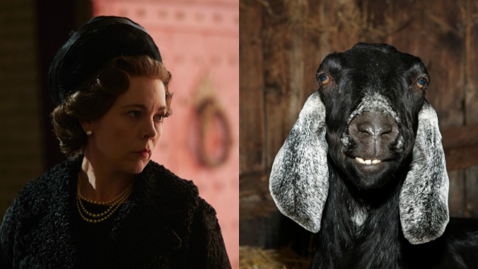 Netflix almost used a goat for its intro noise and it's not too late to switch it back