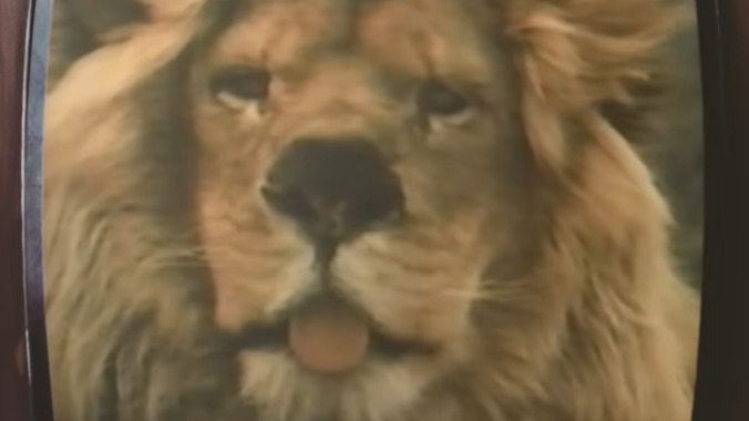 This lion fucks