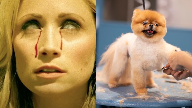 Amazon scares up more Etheria and HBO Max has a Haute Dog