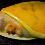 Everybody wants to eat the yellow turtle that looks like American cheese