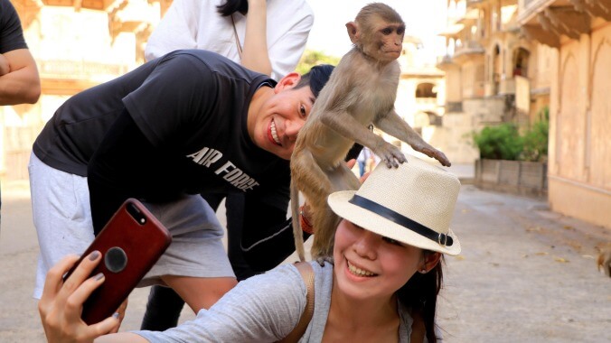 This week’s most pressing legal issue: Monkey selfies!