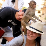 This week’s most pressing legal issue: Monkey selfies!