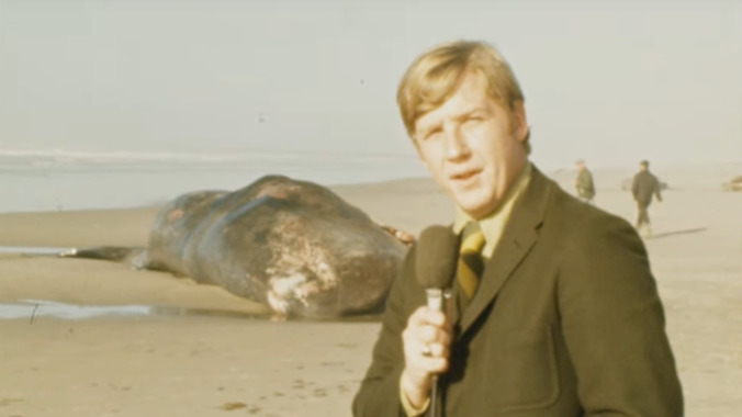 Happy 50th anniversary to the time a beached whale was blown up with dynamite on TV