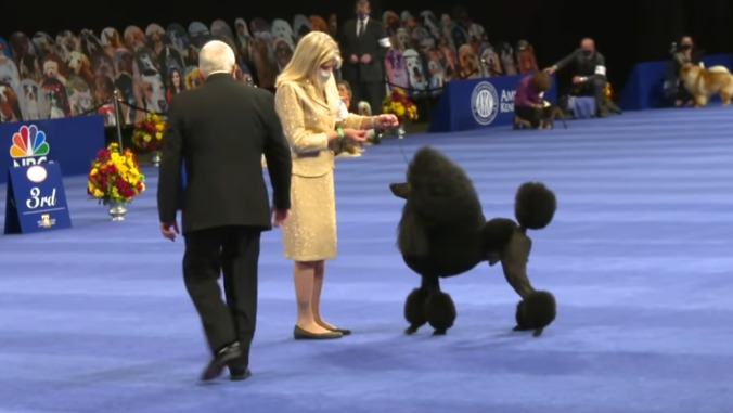 National Dog Show inches one step closer to fully non-human event with cardboard pets