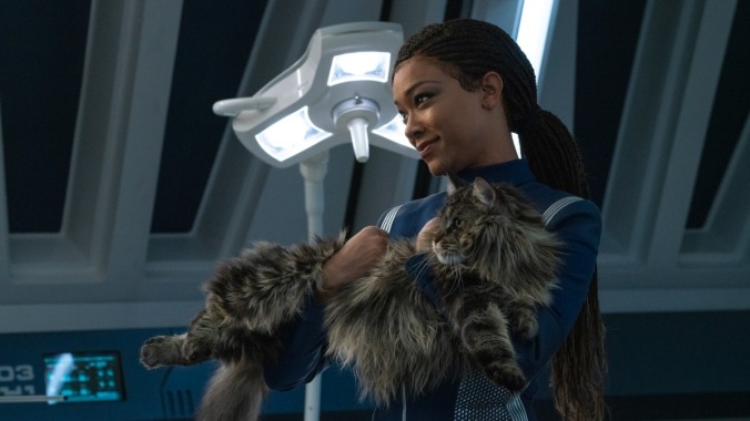 Star Trek: Discovery, now starring Grudge The Cat