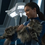 Star Trek: Discovery, now starring Grudge The Cat