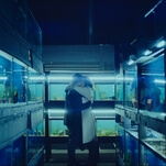 A timely pandemic tests one couple’s love in the otherwise forgettable Little Fish