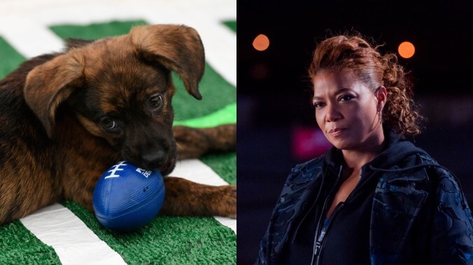 Puppies bowl, The Equalizer equalizes, and there’s a football game on