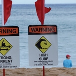 Australian weatherman pulls dead body from water during live broadcast